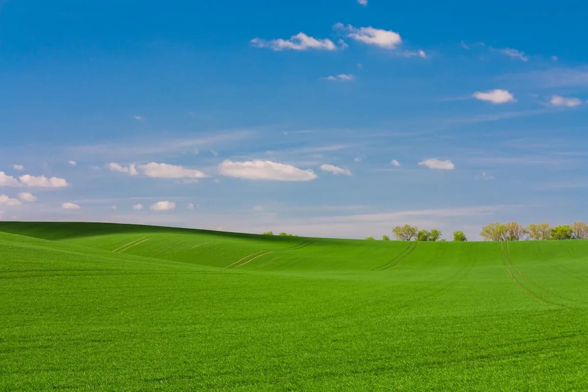 Działka budowlana 900 m², Mszczonów