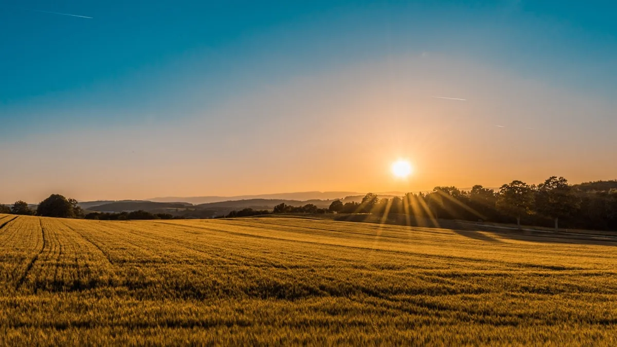 Działka rolno-budowlana, Grójec
