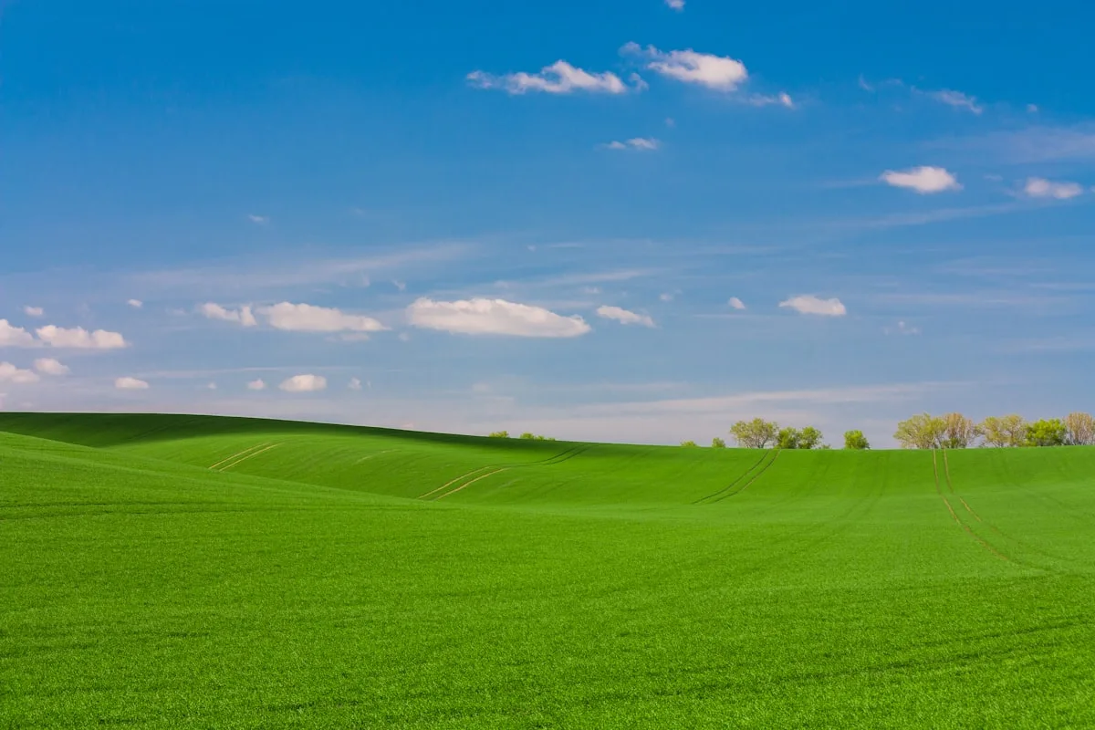 Działka budowlana 900 m², Mszczonów